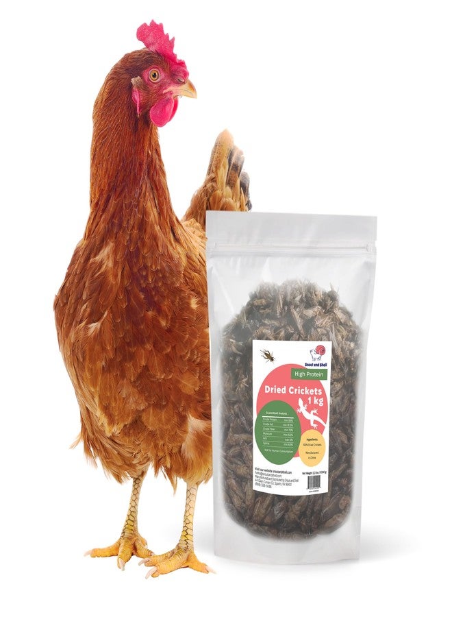 Snout and Shell Dried Crickets (2.2 lbs) for Reptiles, Birds, and Small Pets - Natural Insect Food with Essential Nutrients - 1 kg - Image 3